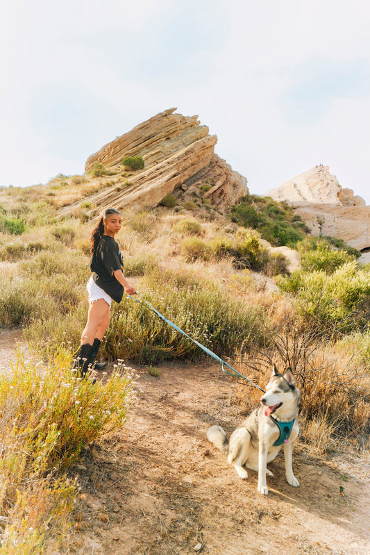 VINTAGE TWO TONE 501 SHORT