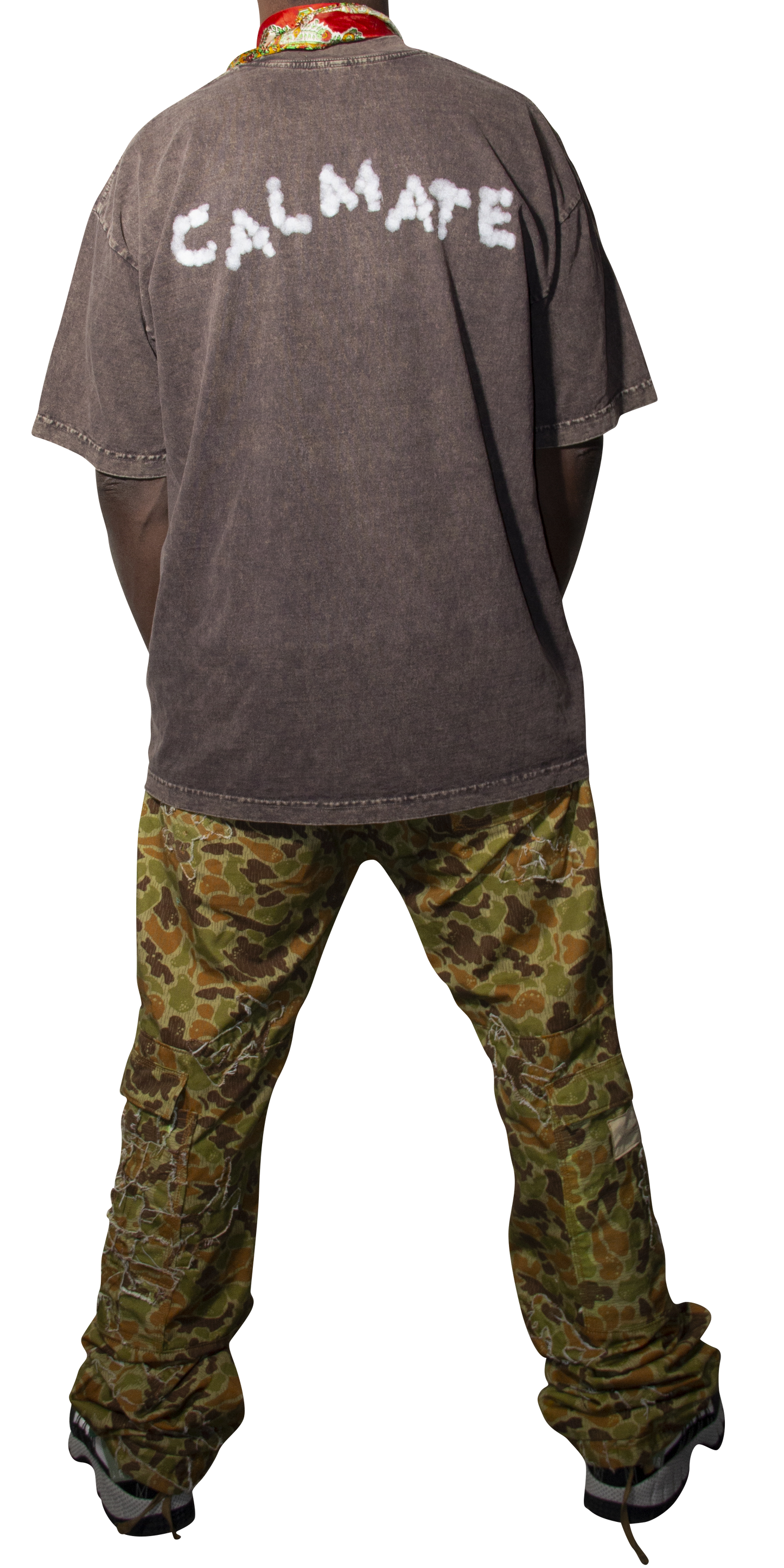 Toy Soldier Camo Cargo